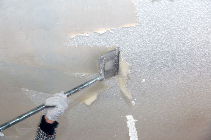 Popcorn Ceiling Renovation